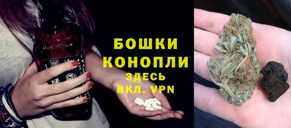 скорость Ельня