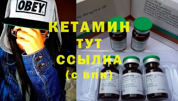 скорость Ельня