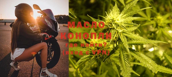 скорость Ельня