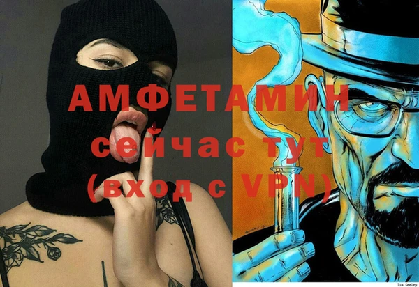 скорость Ельня