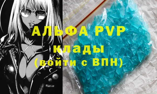 спиды Елизово