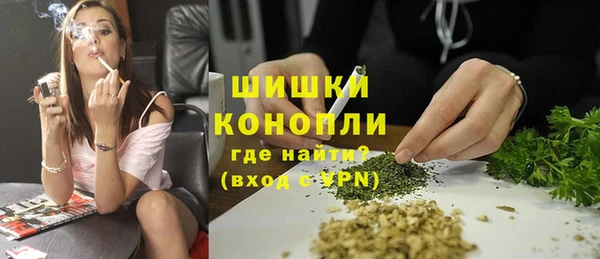 скорость Ельня