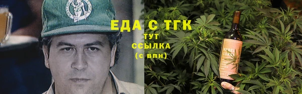 скорость Ельня