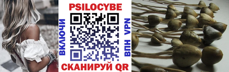 mega Иланский Галлюциногенные грибы Cubensis